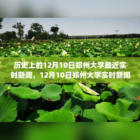 12月10日郑州大学实时新闻之旅，探索自然美景，追寻内心平静的历史瞬间