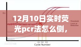 冬日阳光下的荧光PCR探索之旅，自然美景与技术的完美结合