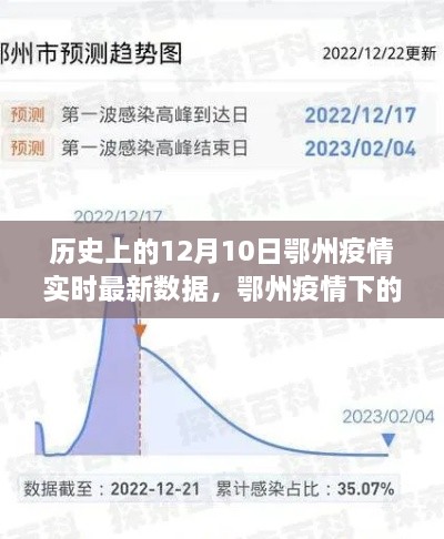 鄂州疫情下的自然探索之旅，寻找内心平静的奇妙经历——疫情实时数据记录与回顾（12月10日）