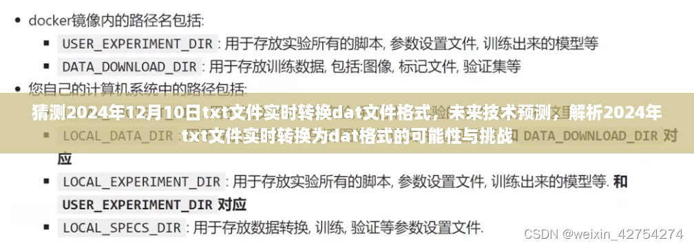 未来技术解析，预测与挑战——TXT文件实时转换为DAT格式的可能性与难点分析（2024年视角）