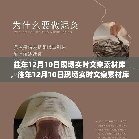 往年12月10日现场实时文案素材库全面评测与介绍，产品深度解析及体验分享