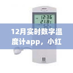 2024年12月11日 第41页