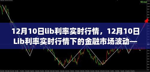 12月10日Lib利率实时行情解析，金融市场波动与观点阐述