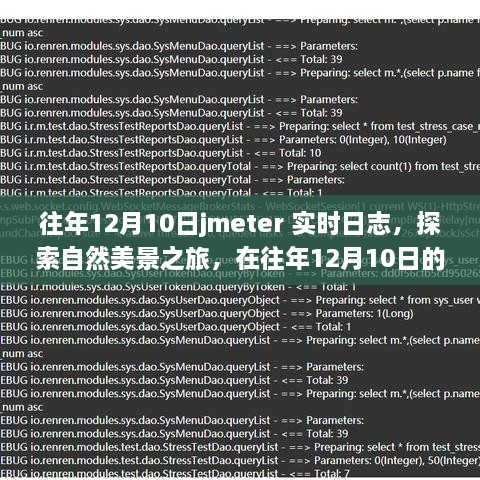 探索自然美景之旅，在往年12月10日jmeter实时日志里寻找内心的宁静与平静的力量