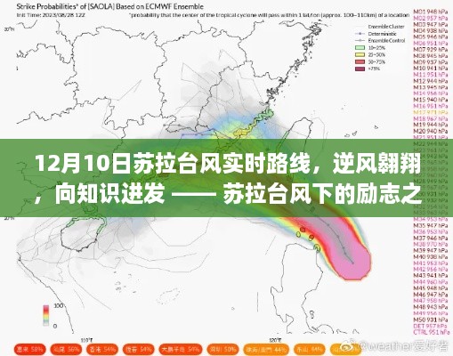 苏拉台风下的逆风翱翔与知识之旅，励志之旅与变化之美