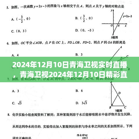 青海卫视2024年12月10日精彩直播前瞻及实时观看指南