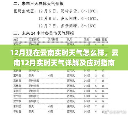 云南12月实时天气详解，应对指南与实时状况分析