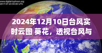 透视台风与葵花卫星云图，2024年12月10日台风实时观测分析