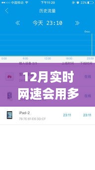 揭秘十二月实时网速下的流量消耗真相，评测报告与流量预测分析