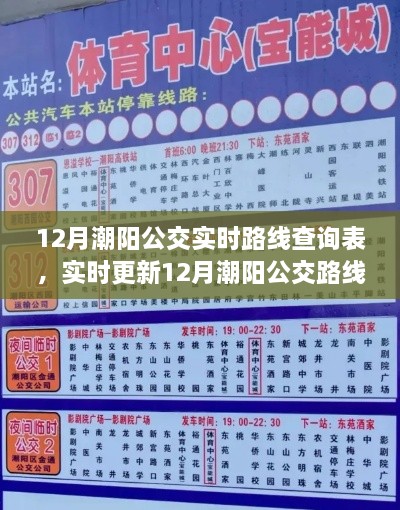 12月潮阳公交实时路线查询表大全，轻松掌握公交出行信息