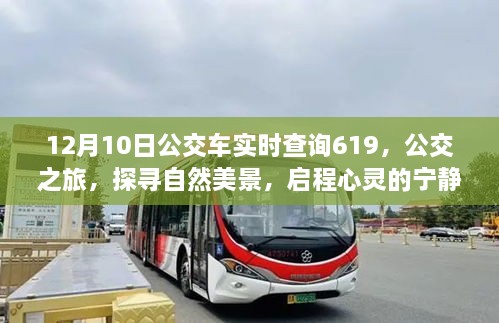 探寻自然美景的公交之旅，619路公交车实时查询与心灵宁静启程的序曲