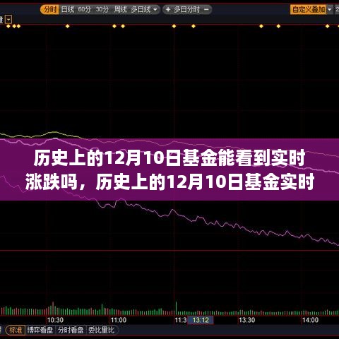 探讨历史上的12月10日基金实时涨跌的可视性问题