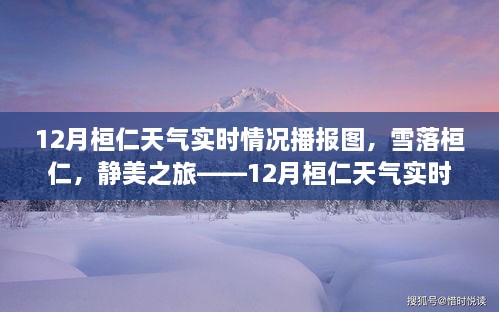 雪落桓仁静美之旅，12月桓仁天气实时播报图