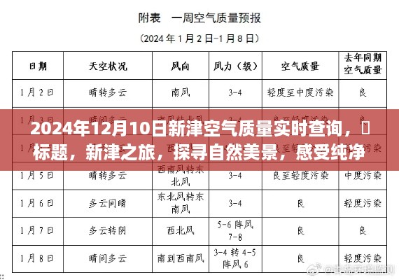 新津空气质量实时查询，纯净空气与心灵宁静之旅的探寻