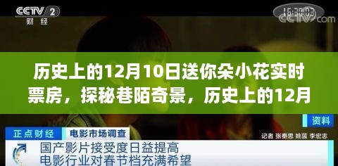 历史上的12月10日，小花绽放的独特票房传奇，巷陌奇景探秘时刻