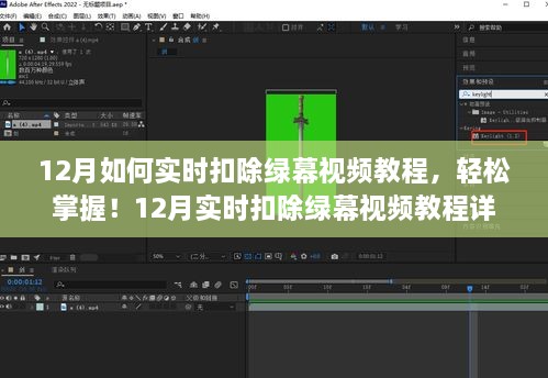 轻松掌握！12月实时扣除绿幕视频教程详解