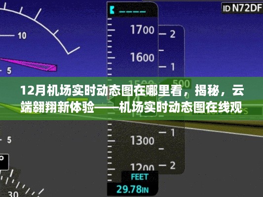 揭秘云端翱翔新体验，在线观看机场实时动态图系统指南