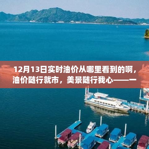 油价探索之旅，寻找内心平静的油价信息与美景相伴