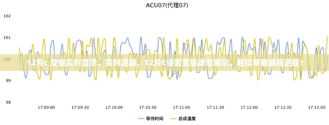 12月C语言变量实时追踪与展示，掌握编程进程的轻松途径