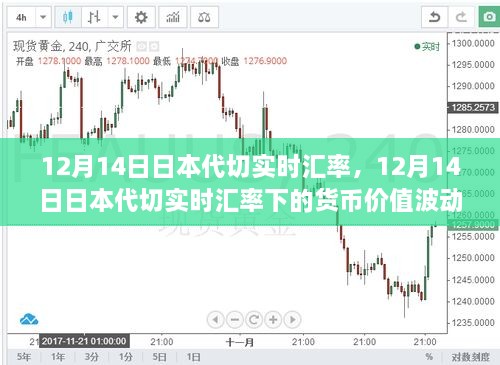 12月14日日本代切实时汇率下的货币价值波动解析