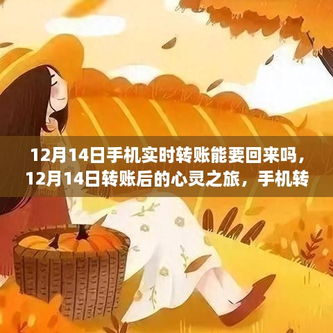 12月14日手机转账的心灵之旅，能否逆袭挽回与自然的和谐心境？