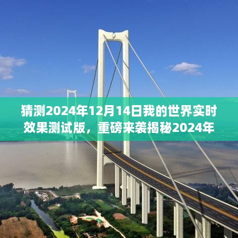 2024年12月15日 第13页