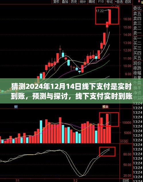 线下支付实时到账趋势展望，以2024年12月14日为观察点的预测与探讨