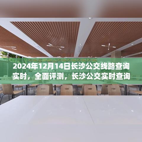 2024年长沙公交实时查询系统全面评测及线路查询指南