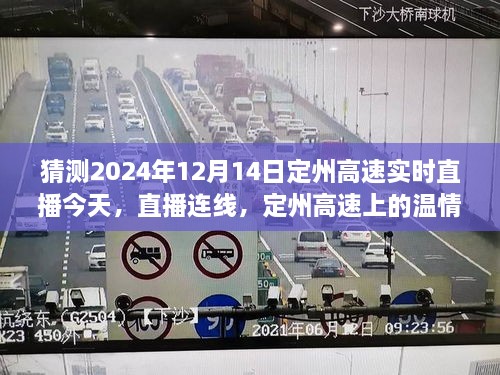 定州高速直播连线，温情时光下的日常故事与爱的纽带（2024年12月14日实时直播）