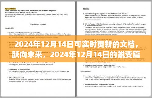 跃向未来，2024年12月14日的蜕变篇章与学习成就自信闪耀