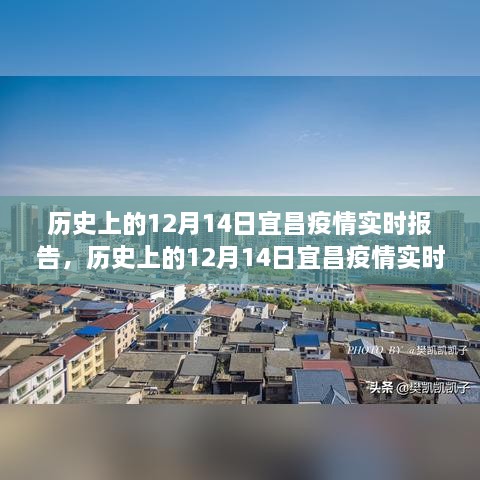 历史上的12月14日宜昌疫情实时报告，深度解析与最新进展