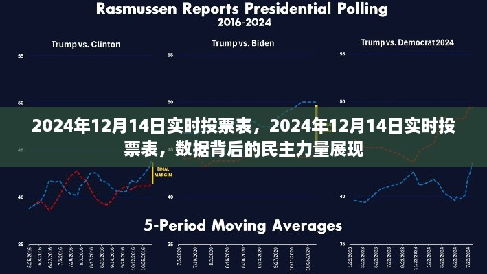 实时投票表背后的民主力量展现，数据见证民意力量