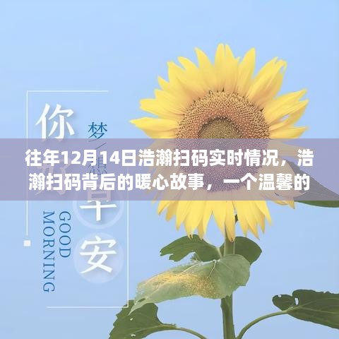 浩瀚扫码背后的暖心故事，温馨日常回忆的12月14日实时情况