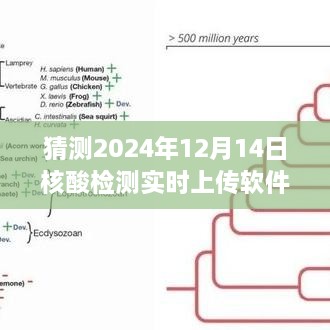 2024年核酸检测实时上传软件的发展与未来科技展望