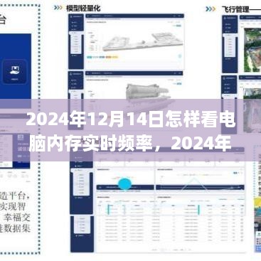 轻松掌握硬件性能监控技巧，2024年电脑内存实时频率查看指南