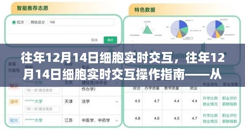 往年12月14日细胞实时交互操作指南，从新手入门到进阶掌握