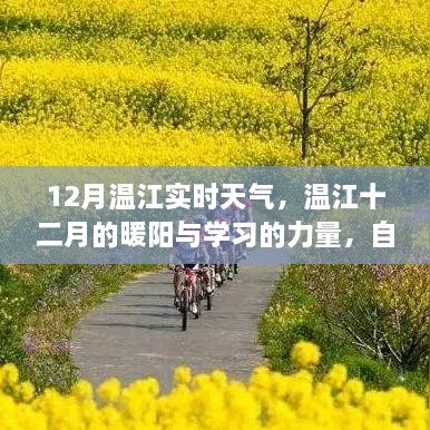 12月温江天气与学习力量的绽放，暖阳中的自信与成就感