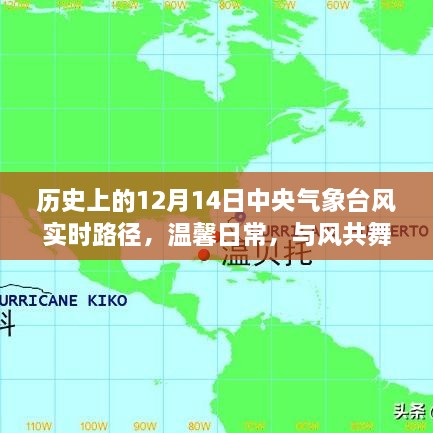 中央气象台风实时路径，历史上的12月14日与风的共舞日子及温馨日常陪伴礼