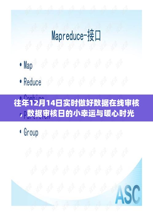 数据审核日的小幸运与暖心时刻，历年12月14日实时在线审核回顾