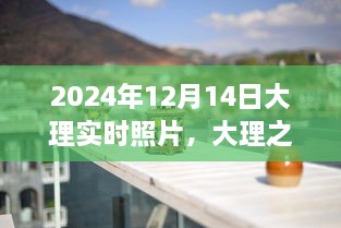 透过镜头见证大理之光，学习变迁的自信与成就——2024年12月14日纪实