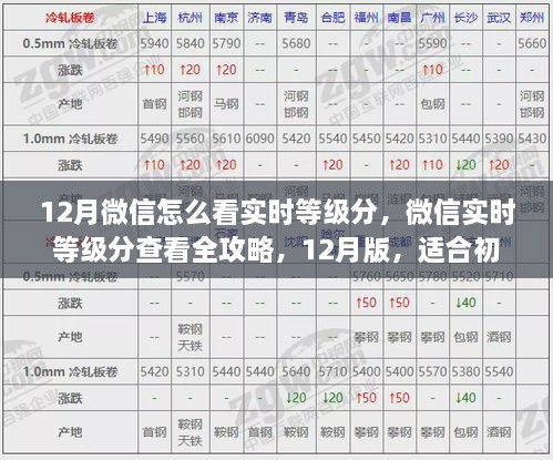 微信实时等级分查看攻略，初学者与进阶用户适用的12月版指南