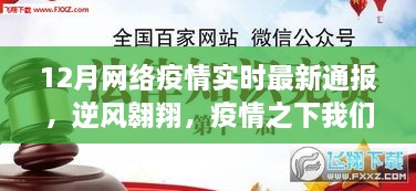 十二月网络疫情实时最新通报，逆风翱翔，共同学习成长之路