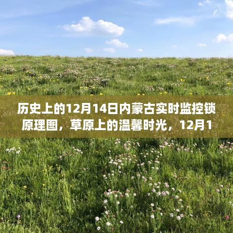 内蒙古草原监控锁原理图揭秘，温馨时光下的奇妙日常，探寻草原上的监控锁历史与现状