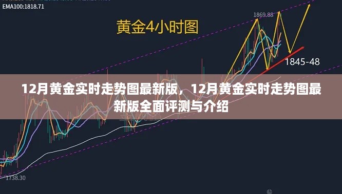 12月黄金实时走势图最新版详解与全面评测