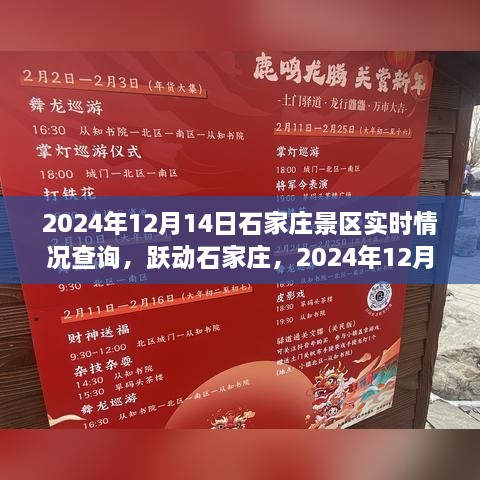 跃动石家庄，景区实时探秘与人生进阶之旅（2024年12月14日）