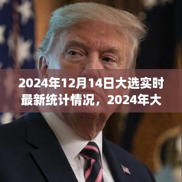 2024年大选最新统计深度解析与观点探讨，实时数据与趋势分析