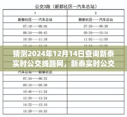 新泰实时公交线路网查询指南，预测与查询2024年12月14日新泰公交路线信息