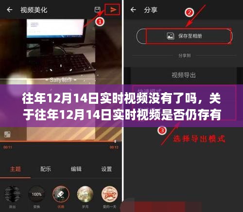 关于往年12月14日实时视频的留存与有效性探讨