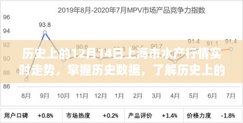 历史上的12月14日上海市水产行情概览，全面指南带你掌握实时走势历史数据