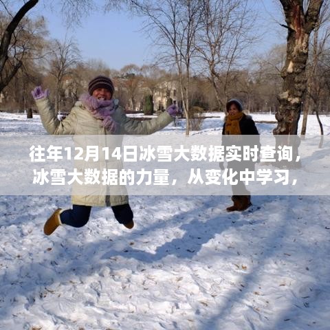 冰雪大数据的力量，从变化中学习，点亮星光冬日的冰雪实时查询与成就感的星光之夜